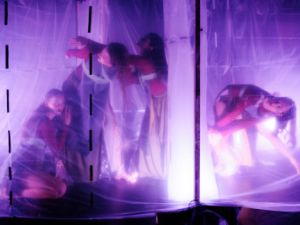 Indigo Cook, MFA in Dance